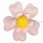 Garment Accessory small picture